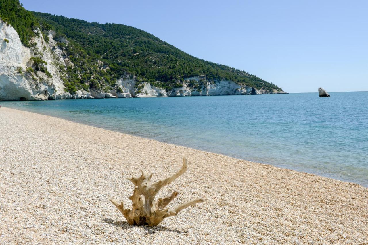 Dimora Storica Fronte Mare Con Terrazzo Privato Villa Torre Canne Exterior photo